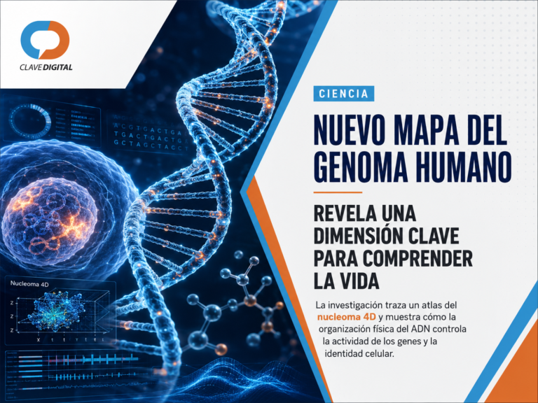 Un nuevo mapa del genoma humano revela una dimensión clave para comprender la vida