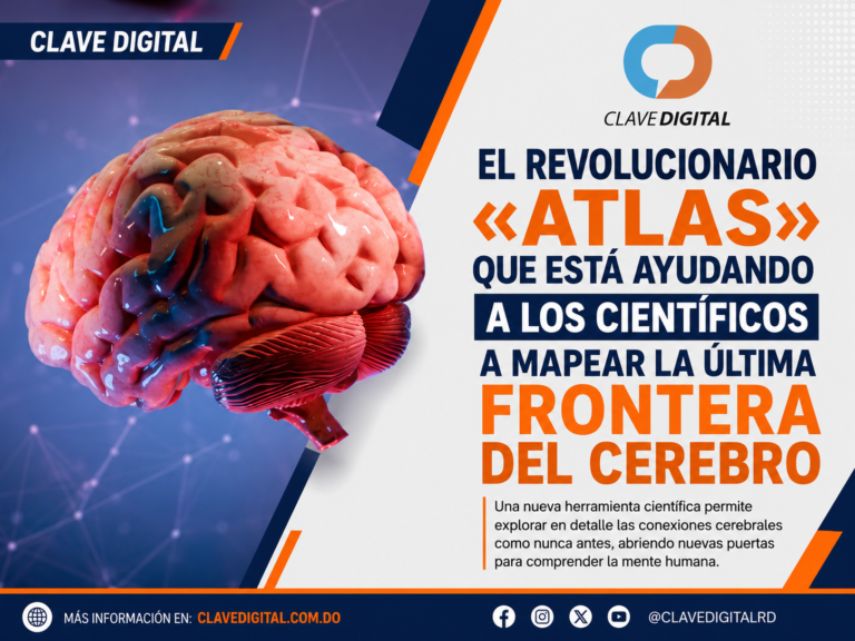 El revolucionario «atlas» que está ayudando a los científicos a mapear la última frontera del cerebro