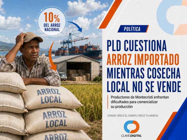 PLD denuncia que arroz importado desplaza la cosecha de Montecristi